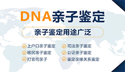 玉溪DNA鉴定在哪里可以做，玉溪血缘检测多少钱