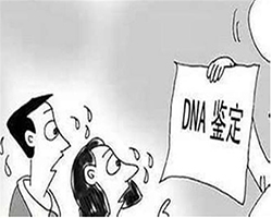 玉溪司法亲子鉴定如何做[在线咨询]，玉溪司法亲子鉴定费用大概多少钱